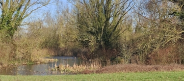 DON - LOUVIÈRE ET LES ANSEREUILLES-nord