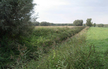 Circuit de la tete de Flandre.-nord