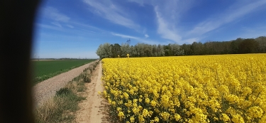 VILLERS AU TERTRE - LE MONT ERCHIN-nord
