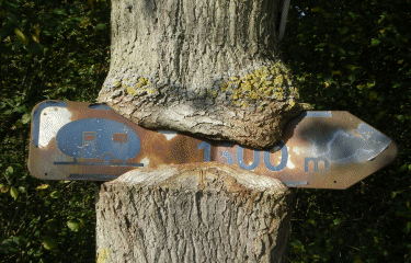 Circuit des poteries-nord