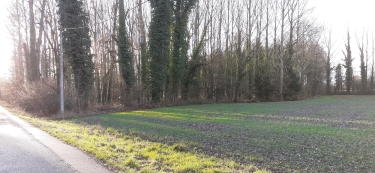 LOUVIL - LES PERRUCHES-nord