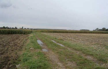 Circuit de la Pouillerie (Houplin-Ancoisne)-nord