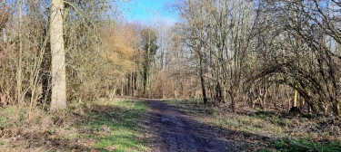 SAINGHIN-EN-MELANTOIS – BOUCLE DES CLOCHERS-nord