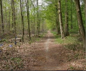 LA NEUVILLE - CIRCUIT DE L'AIL DES OURS