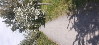 TEMPLEUVE EN PEVELE - DES MARAIS DE BONNANCE à LA FONTAINE ST PIERRE-nord