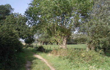 Aux quatre extremites -  Houtkerque-nord