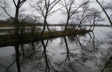 Mortagne du nord-nord