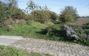 Circuit des 11 clochers (Gondecourt)-nord