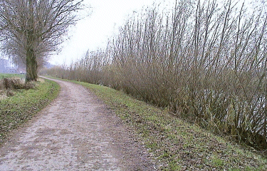 Canal de la Deule -nord