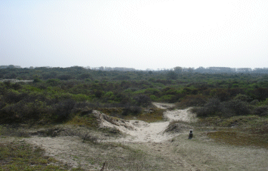 Dunes marchands-nord