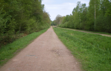 saint Amand les Eaux -nord
