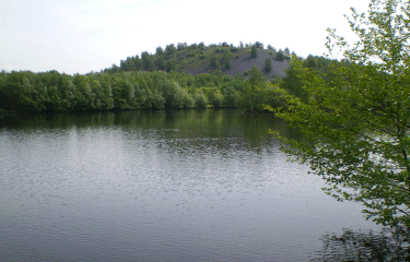 Etang chabaud latour-nord