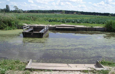 Circuit de Booneghem-nord
