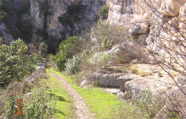 Pont de la cerise-alpes-maritimes