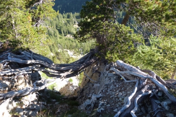 MERCANTOUR - VESUBIE-alpes-maritimes