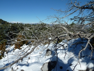 ESTELLIER DEPUIS BEZAUDUN-LES-ALPES