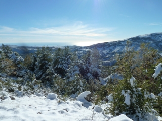ESTELLIER DEPUIS BEZAUDUN-LES-ALPES-alpes-maritimes