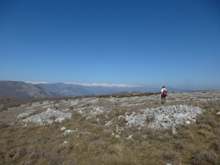 LE GOURBEL - MOUTON D ANOU