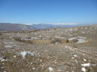 LE GOURBEL - MOUTON D ANOU-alpes-maritimes