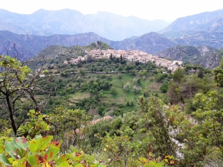 LA TOUR - MONT MANGIARDE-alpes-maritimes