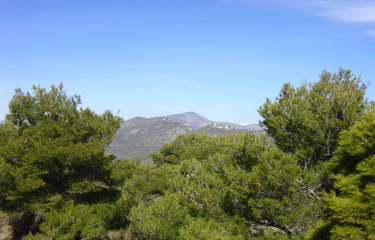 Les cretes du Mont Macaron-alpes-maritimes