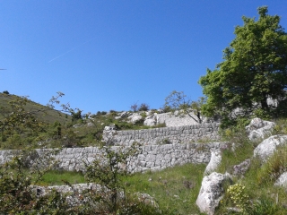 CIME DES BLAQUIERES - BAOUS DES BLANCS-alpes-maritimes