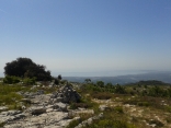 CIME DES BLAQUIERES - BAOUS DES BLANCS-alpes-maritimes