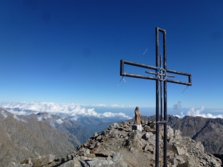 CIME DU GELAS - VOIE NORMALE-alpes-maritimes
