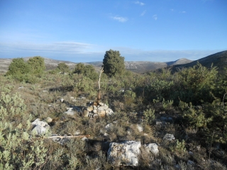 CIME DE COLLE BERTRAND-alpes-maritimes