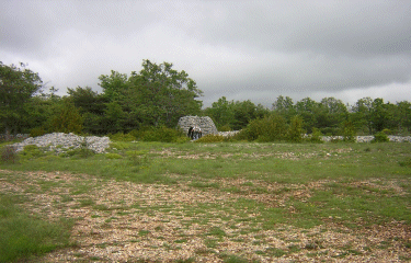 Circuit du bois de Garavagne-alpes-maritimes