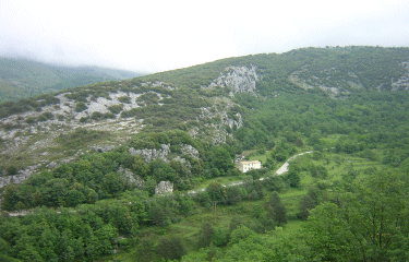 Circuit du bois de Garavagne-alpes-maritimes