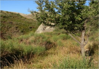 Tour de la croix de Malvan-alpes-maritimes
