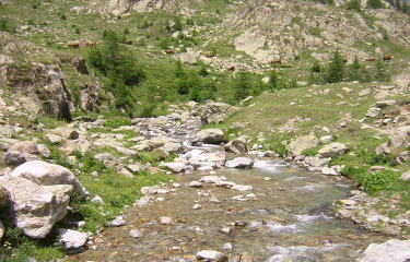 Lacs de Prals-alpes-maritimes