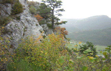 Cretes du Bauroux-alpes-maritimes