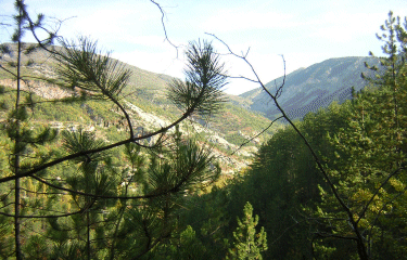 Circuit des Aubrics-alpes-maritimes