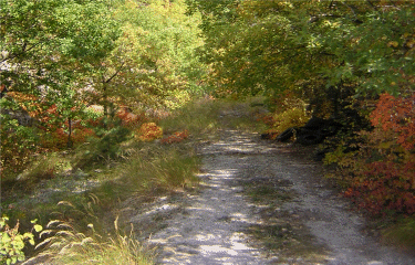 Circuit des Aubrics-alpes-maritimes