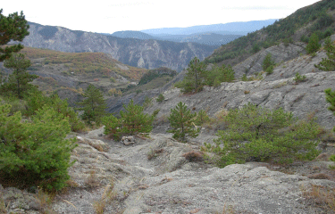 Le tour du Mont Auvare-alpes-maritimes