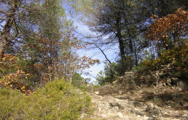 Bau de l Arc-alpes-maritimes