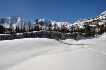 ASCENSION DE LA TETE DU COLOMBIER EN RAQUETTES-alpes-maritimes
