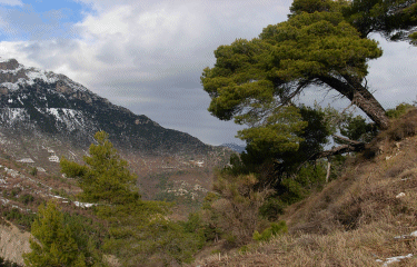 Circuit du Collet Saint Andre-alpes-maritimes