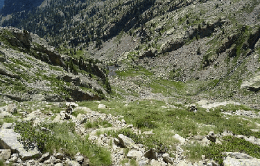 CAIRES DE COUGOURDE-alpes-maritimes