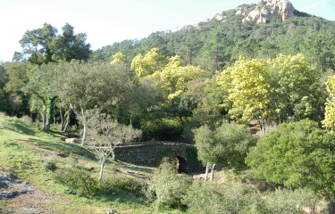 Mont Saint Martin (massif de l Esterel)-alpes-maritimes