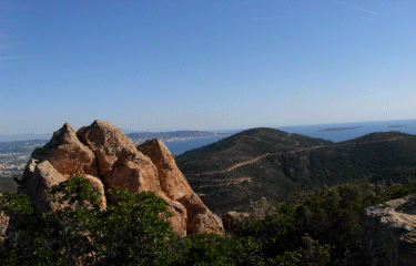 Mont Saint Martin (massif de l Esterel)-alpes-maritimes