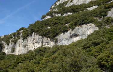 Le tour du plateau de Briasq -alpes-maritimes