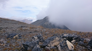 PETIT MOUNIER AU DEPART DE ROYA-alpes-maritimes