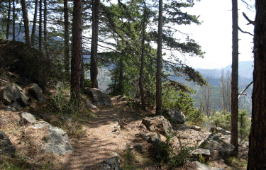 La Cime des Collettes-alpes-maritimes
