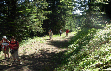 La cime de la Calmette-alpes-maritimes