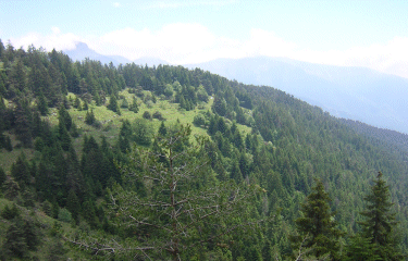 La cime de la Calmette-alpes-maritimes