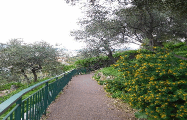 NICE - A LA DECOUVERTE DU VIEUX NICE - 8KM-alpes-maritimes