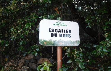 NICE - MONT BORON - MONT ALBAN - 8.5 KM-alpes-maritimes